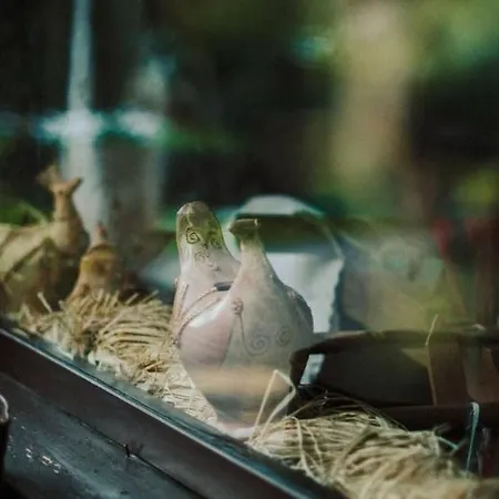 Agroturismo Sa Mandra *