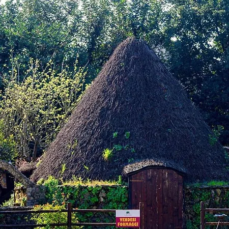 Farm stay Sa Mandra Casa Minnina