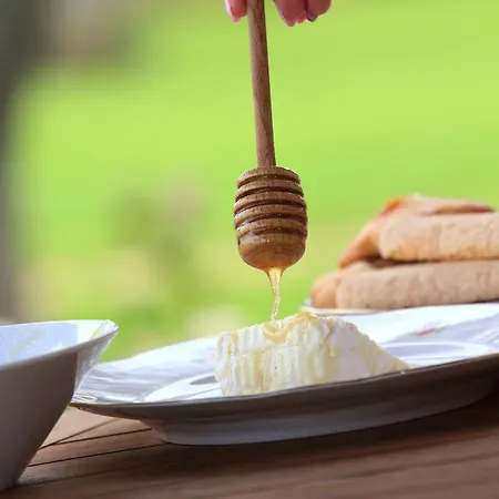 Agroturismo Sa Mandra *