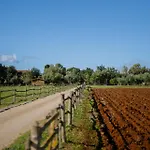 Sa Mandra אלגהרו