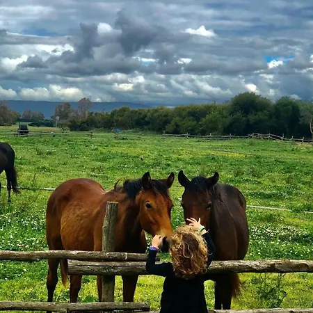 Alojamento de Turismo Rural Sa Mandra *