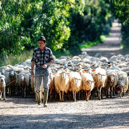 Alloggio per agriturismo Sa Mandra