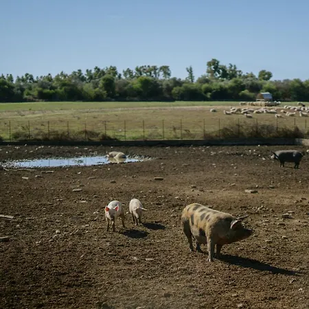 Sa Mandra Alojamento de Turismo Rural *
