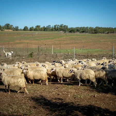 Sa Mandra Alojamento de Turismo Rural