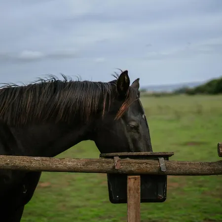 Sa Mandra Alojamento de Turismo Rural *