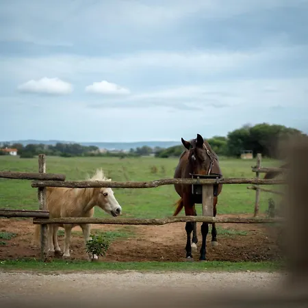 Sa Mandra Alojamento de Turismo Rural